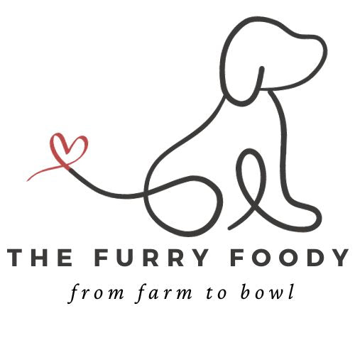 The Furry Foody